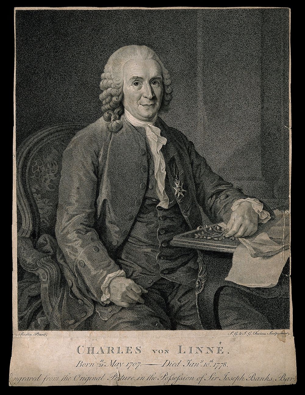 Carolus Linnaeus. Stipple engraving by S. G. & J. G. Facius after A. Roslin, 1775.