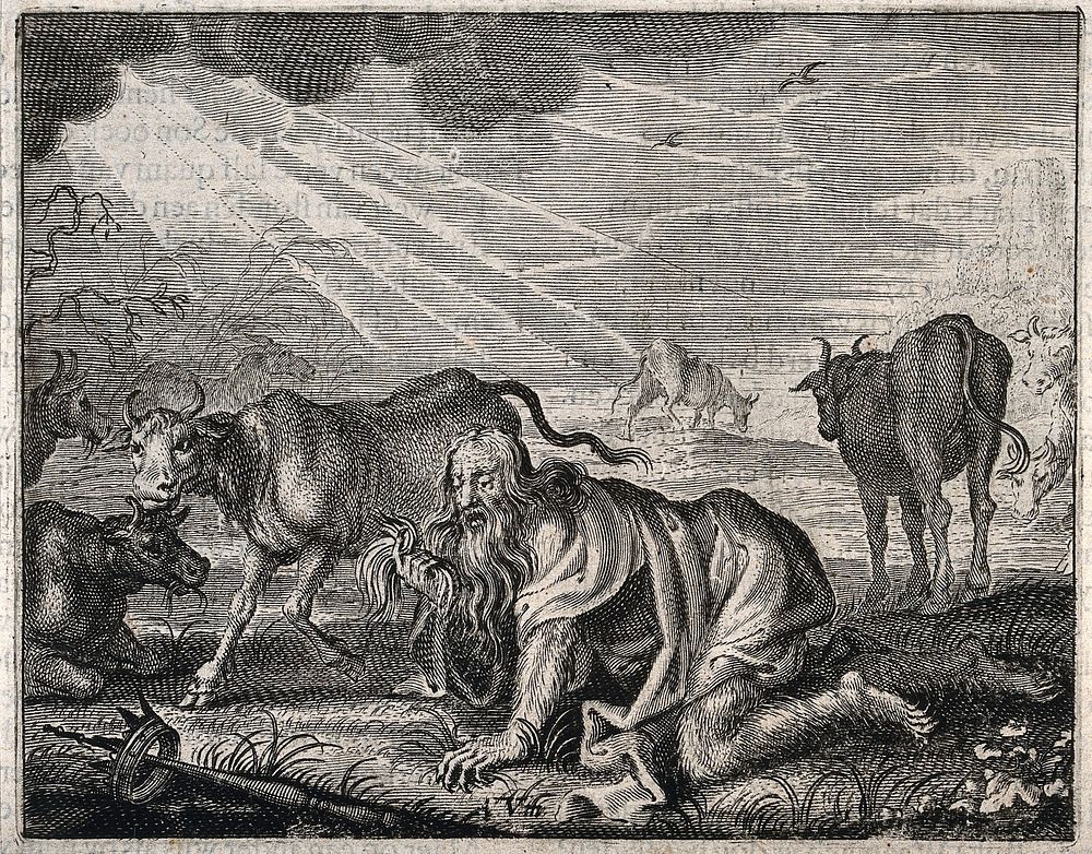Nebuchadnezzar, gone mad, grovels like a beast of the earth; he gropes for his crown. Engraving, 16--.