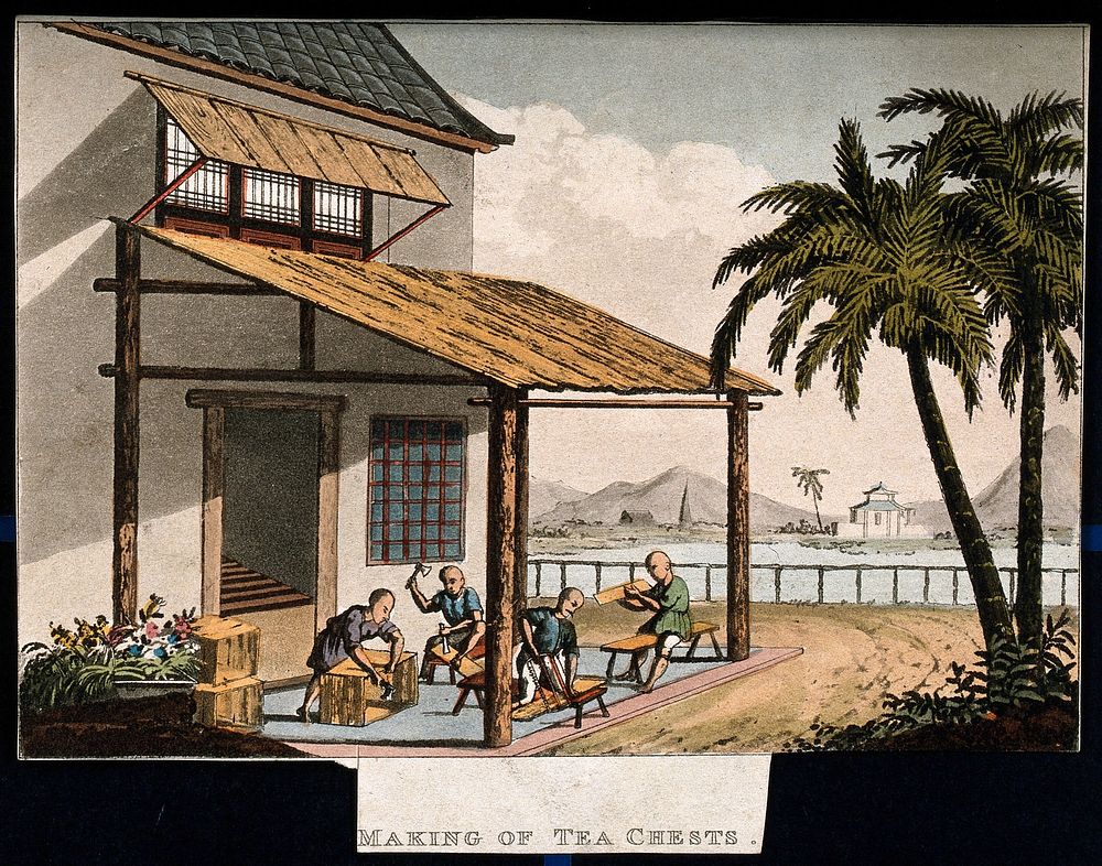 A tea plantation in China: workers make tea chests. Coloured aquatint, early 19th century.