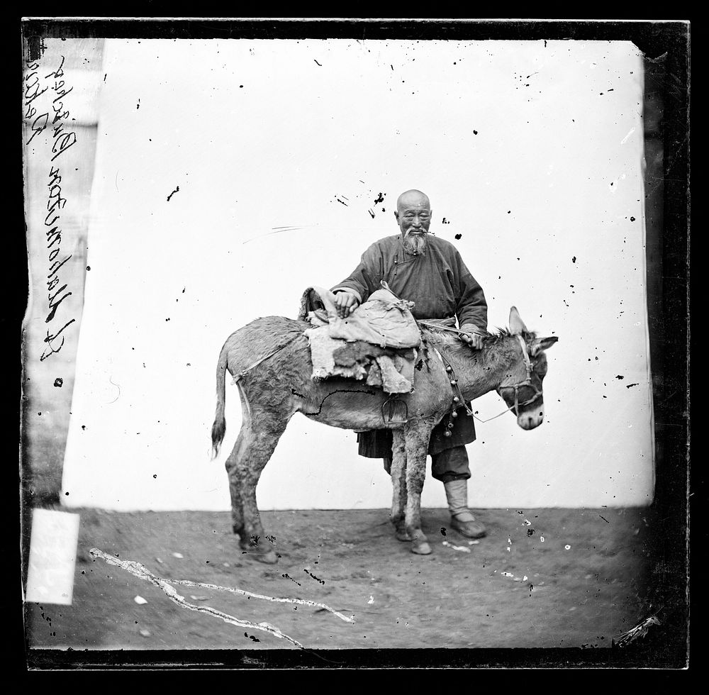 China: an old man with his mule. Photograph by John Thomson, 1869.