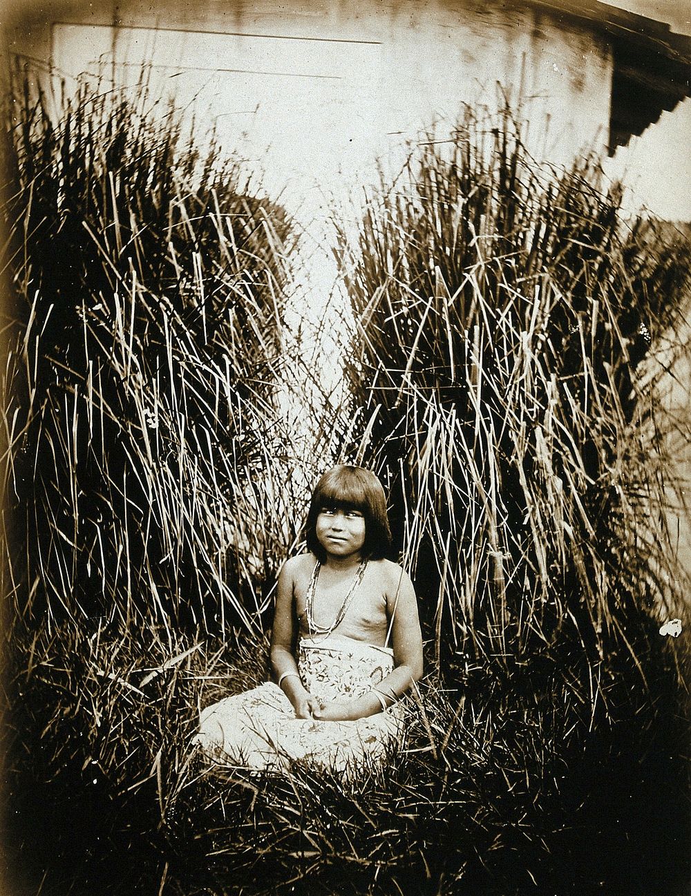 An Amazonian Indian child, next to a whitewashed wall with tall grasses all around.