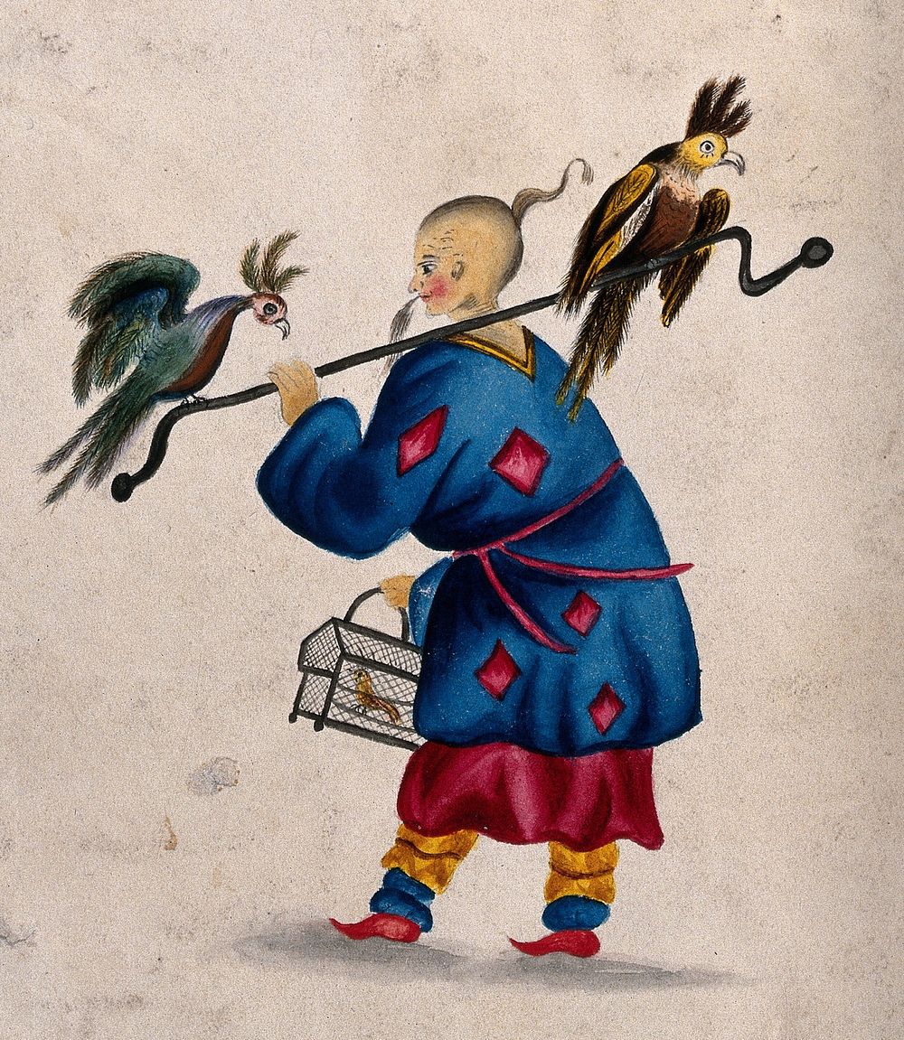 A man in China carrying three exotic birds on a a pole and in a cage. Watercolour.