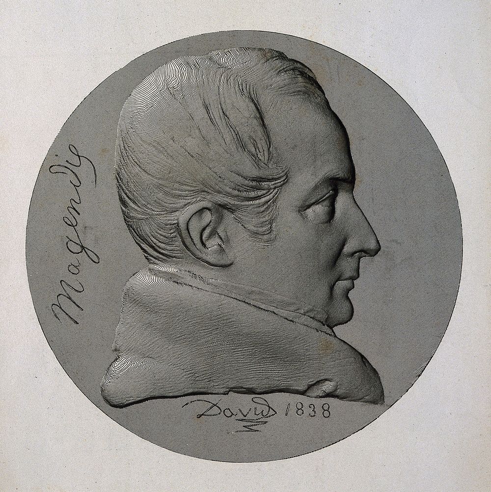 François Magendie. Line engraving after P. J. David d'Angers, 1838.