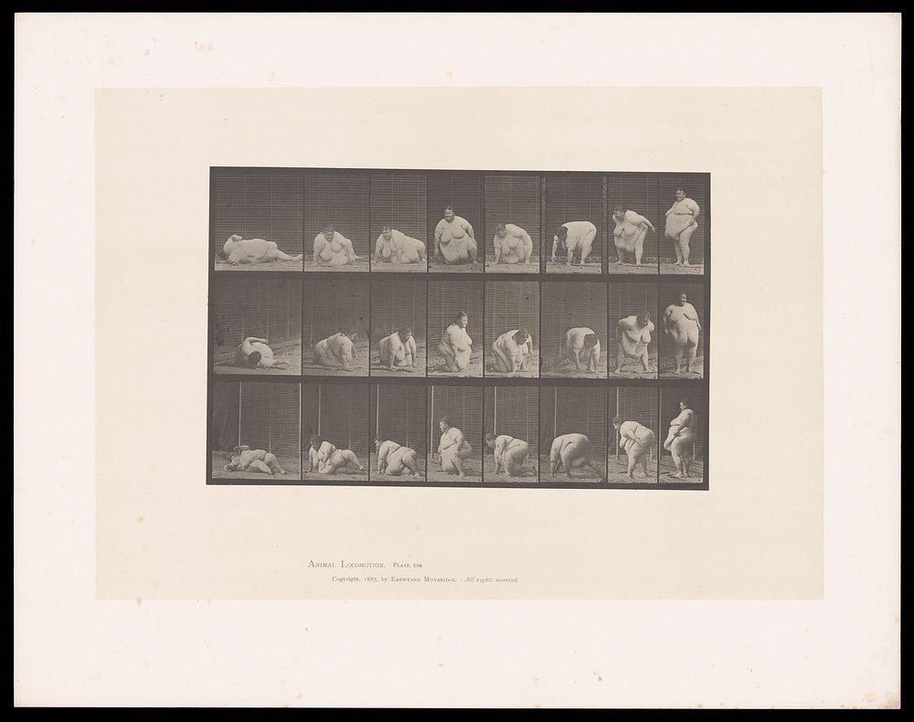 An obese woman getting up off the ground: three series. Collotype after Eadweard Muybridge, 1887.