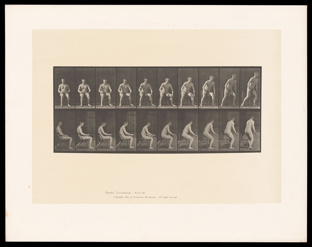 A naked man sitting in a wooden chair rises to a standing position and turns. Collotype after Eadweard Muybridge, 1887.