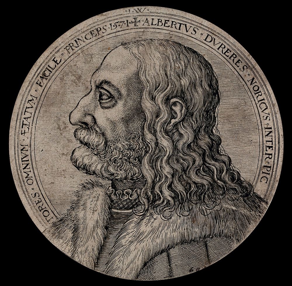 Albrecht Dürer in profile. Etching, 1571.