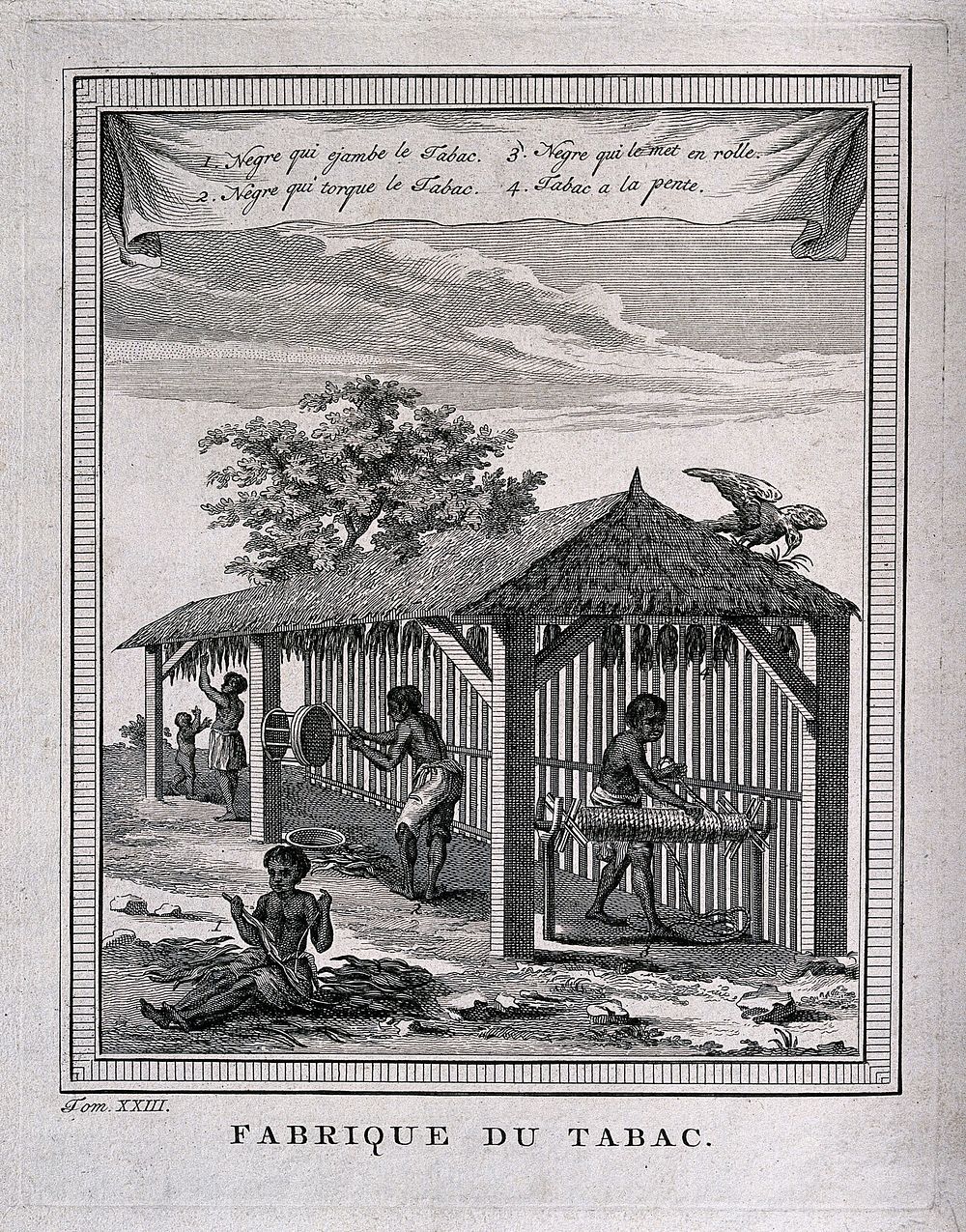 Tobacco plantation workers curing and preparing tobacco under a shelter. Engraving, mid-18th century.