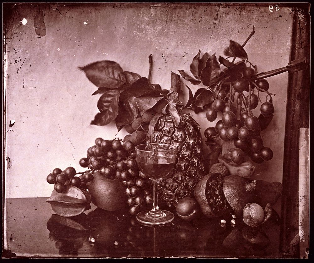 Still life of fruit, Hong Kong. Photograph, 1981, from a negative by John Thomson, 1868/1871.