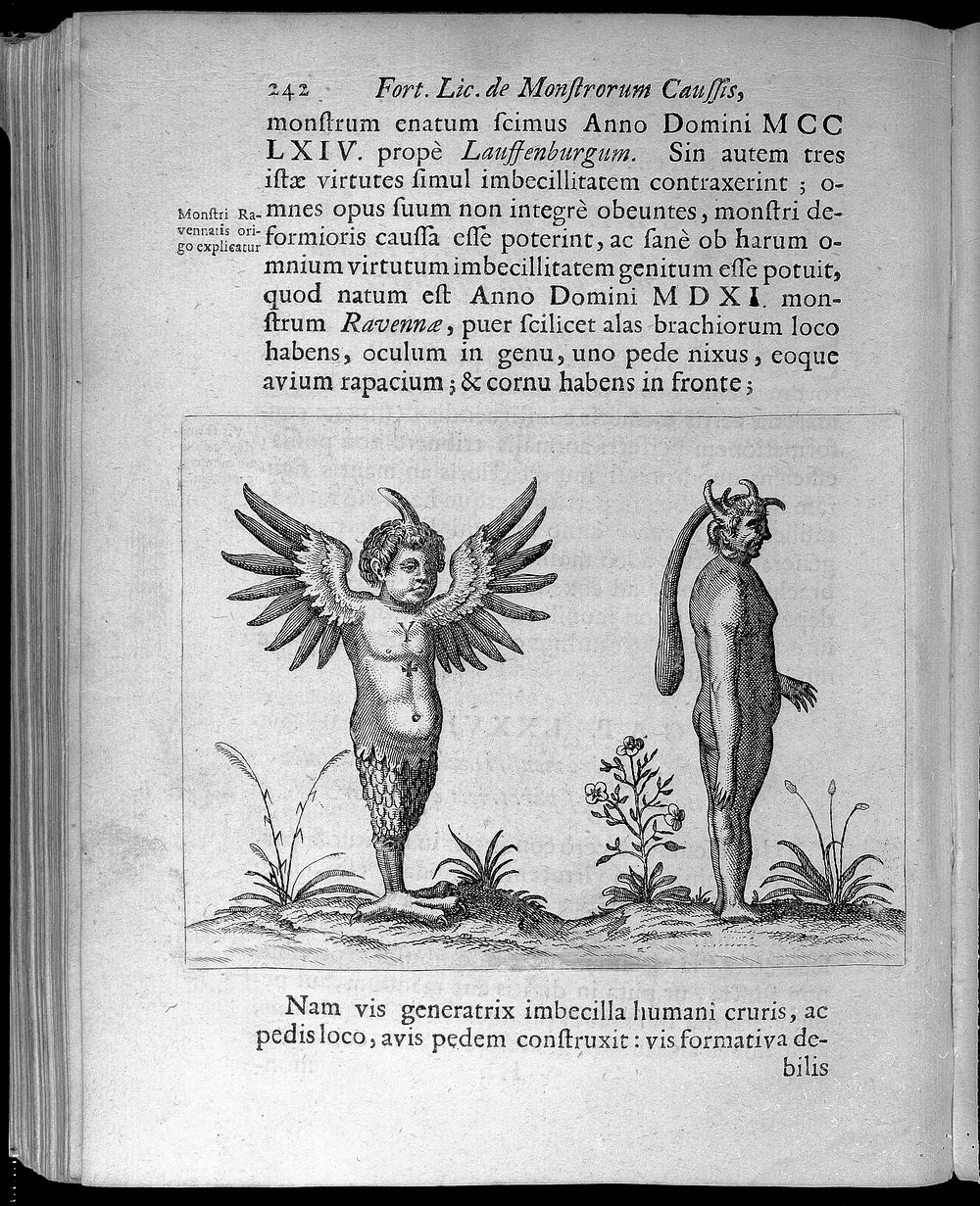 Two figures with abnormalities, one with wings as arms and feathered legs and the other one with a horned head