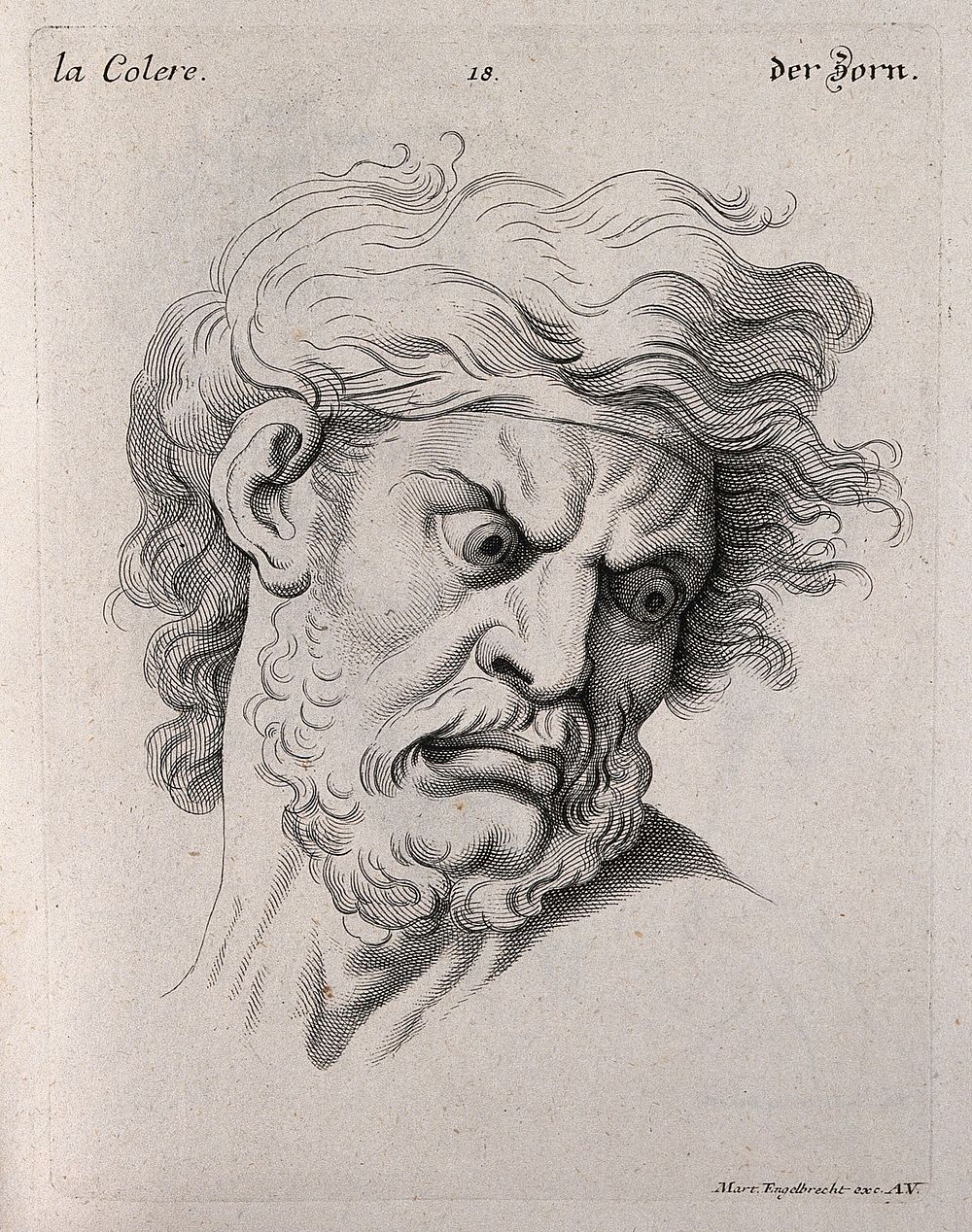 Face of a bearded man expressing anger. Engraving by M. Engelbrecht , 1732, after C. Le Brun.