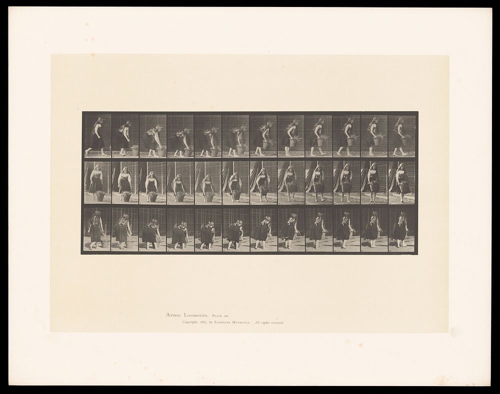 A clothed woman walking up to a wicker basket, picking it up and walking off with it. Collotype after Eadweard Muybridge…