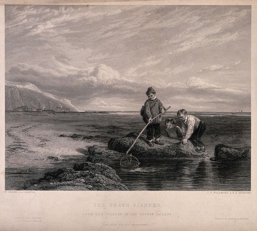 Three boys are fishing in rock pools with a large net. Engraving by J.T. Willmore after W. Collins.