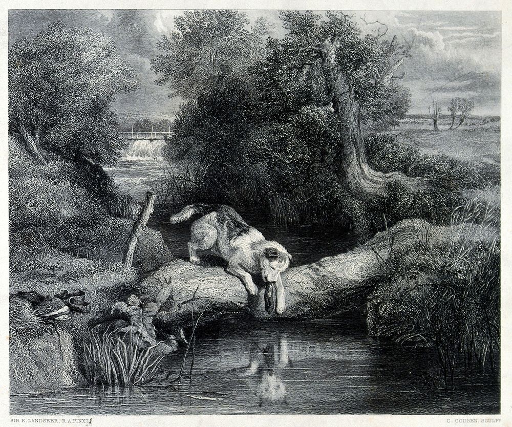 A dog sitting on a tree trunk that bridges a river gazing at its own reflection. Steel engraving by C. Cousen after E. H.…