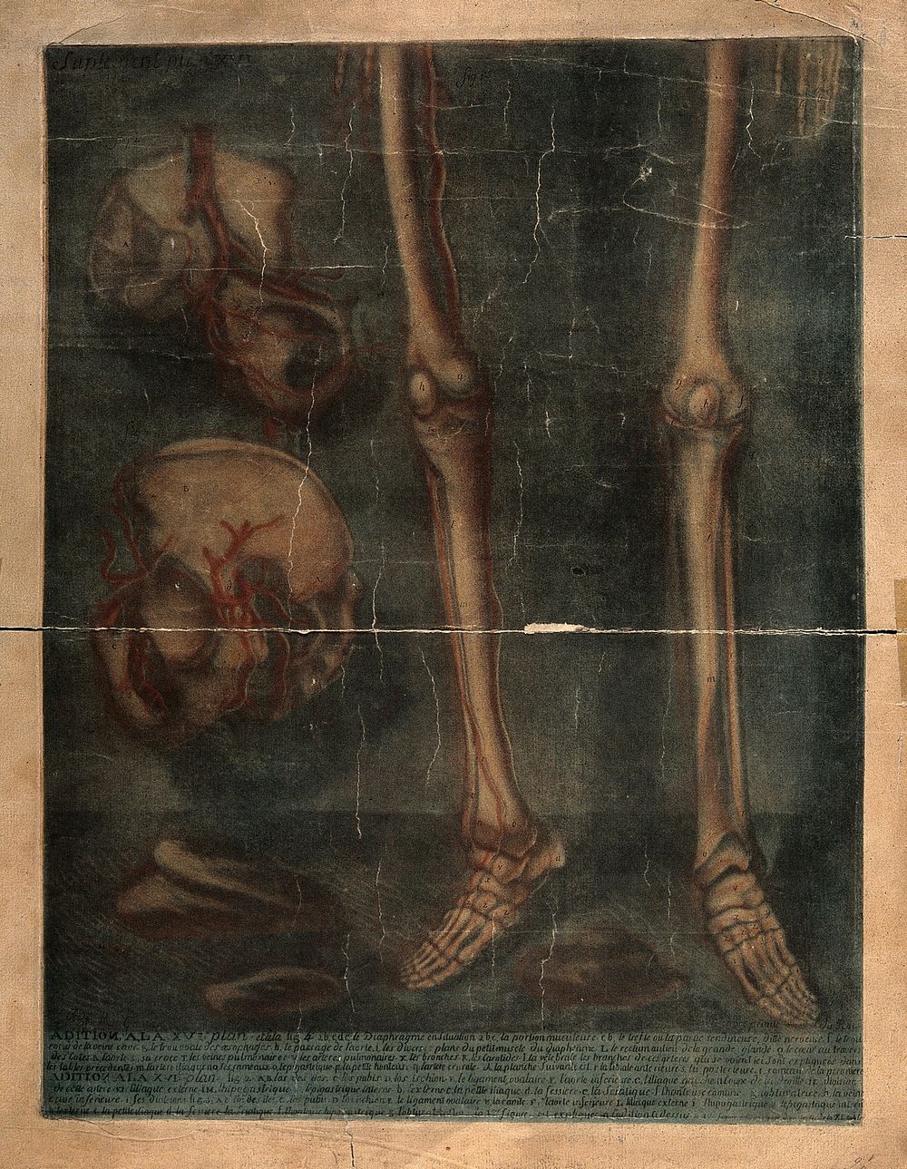 Bones of the pelvis, lower legs and feet. Colour mezzotint by J. F. Gautier d'Agoty after himself, 1759.