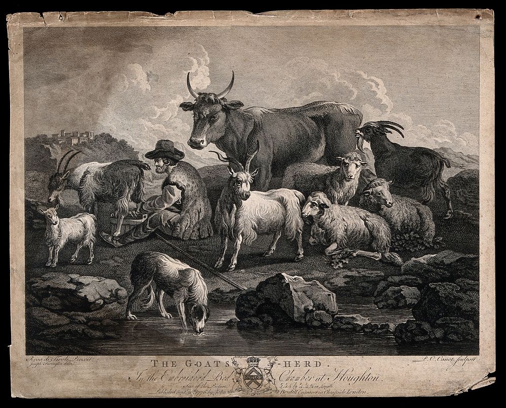 A goatherd milking a goat in a field surrounded by other animals. Etching by P.C. Canot after J. Farington after P.P. Roos.