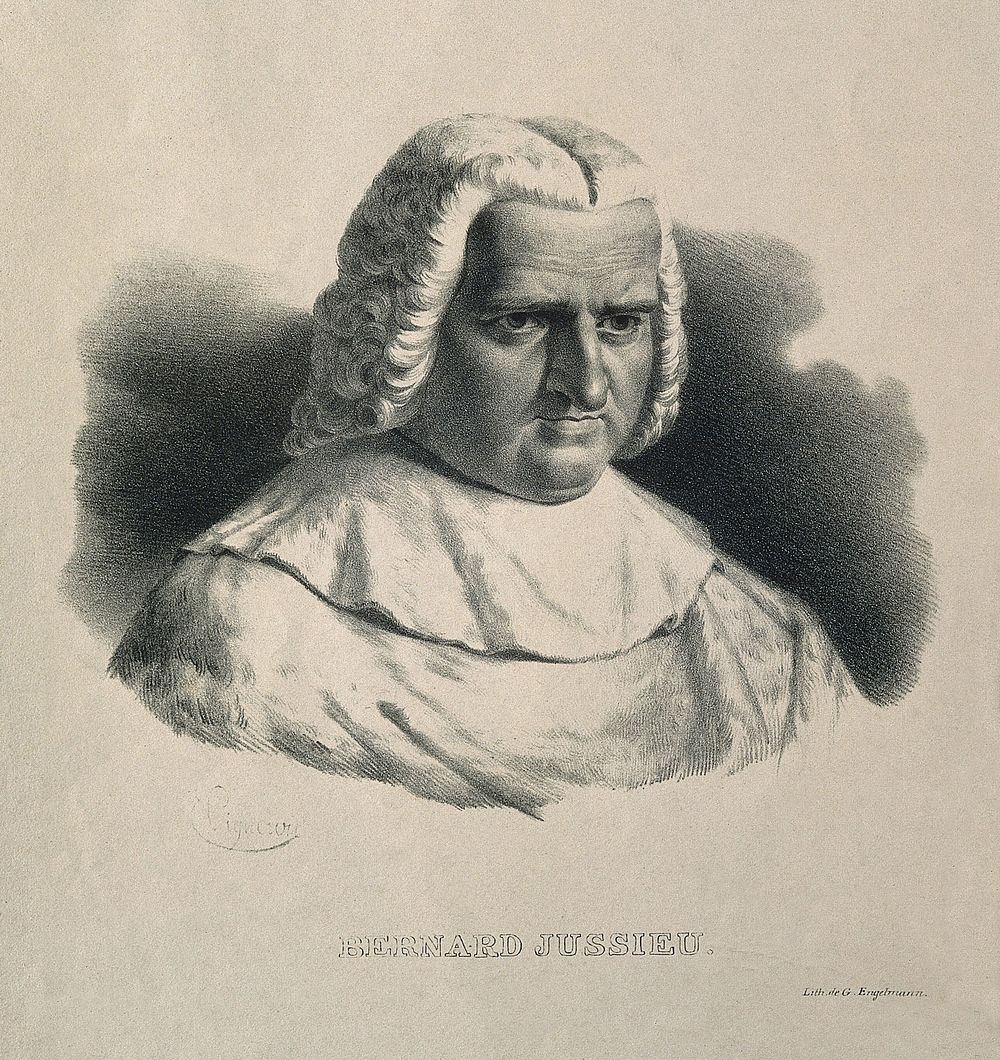 Bernard de Jussieu. Lithograph by P. R. Vignéron.