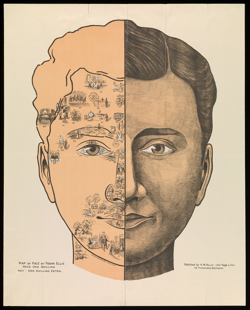 Phrenological chart; with design of head containing 4 illustrations showing activity of brain. Colour lithograph.