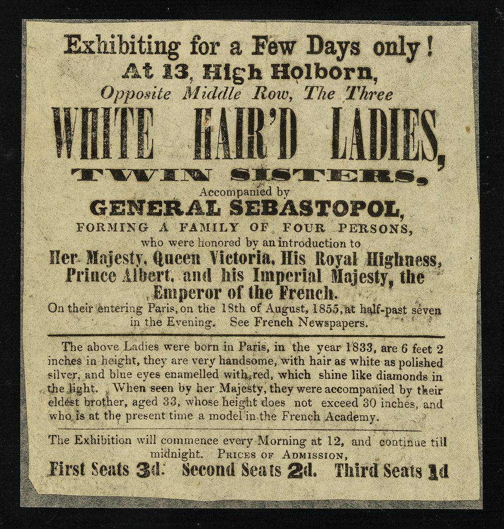 [Leaflet (1855) advertising appearances by 'Three White Hair'd Ladies' (6' 2") and their 30" tall brother at 13 High…