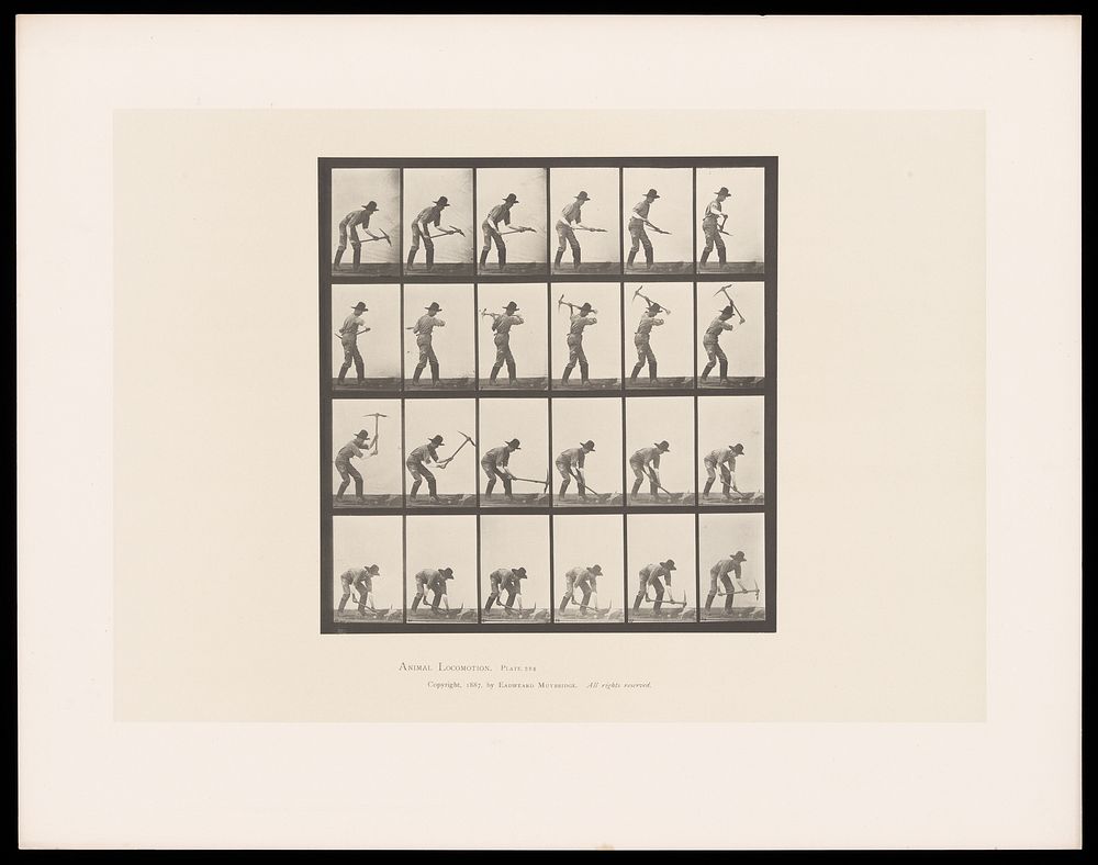 A clothed man digging with a pickaxe. Collotype after Eadweard Muybridge, 1887.