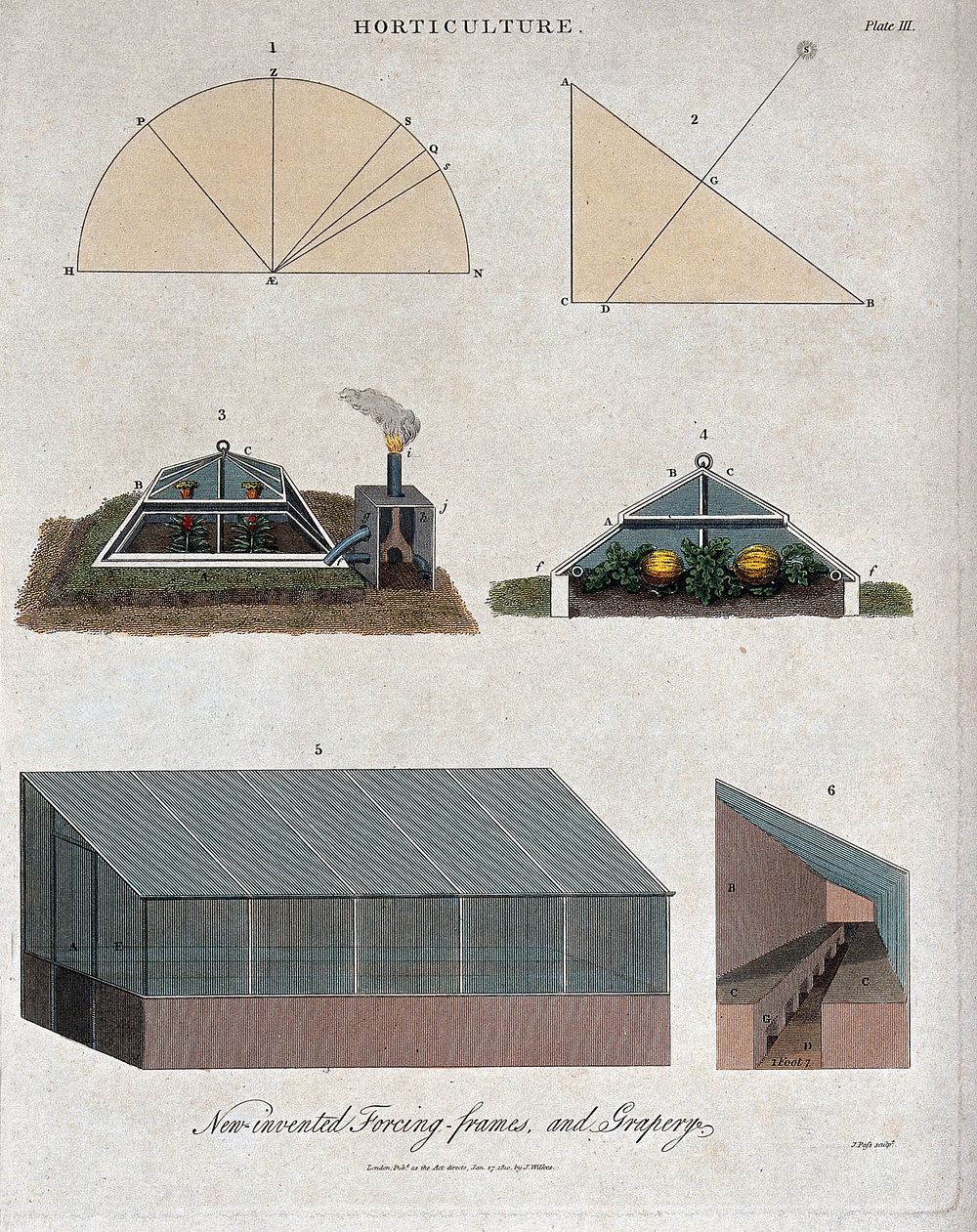 Types of greenhouse. Coloured engraving.