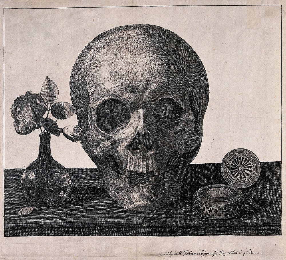 A skull with a timepiece and flowers Etching by William Faithorne, 16--, after Philippe de Champaigne.