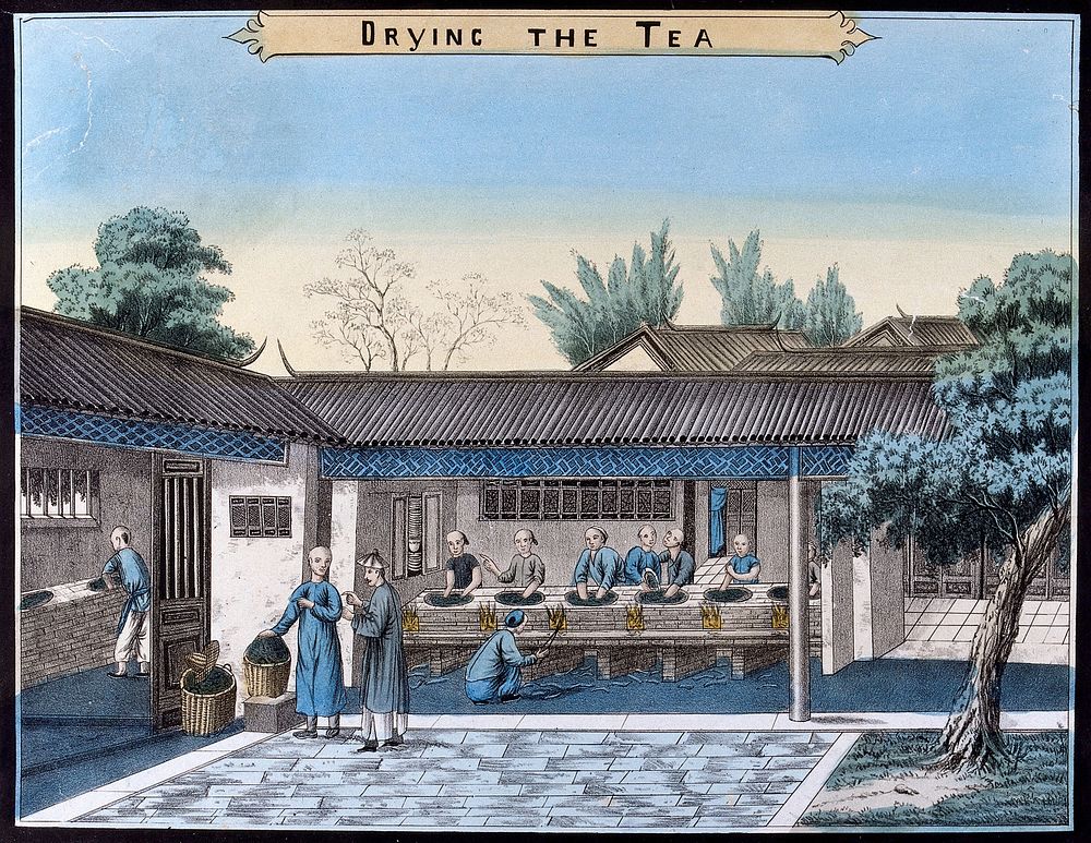 A tea plantation in China: workers heat and dry the tea leaves. Coloured lithograph.