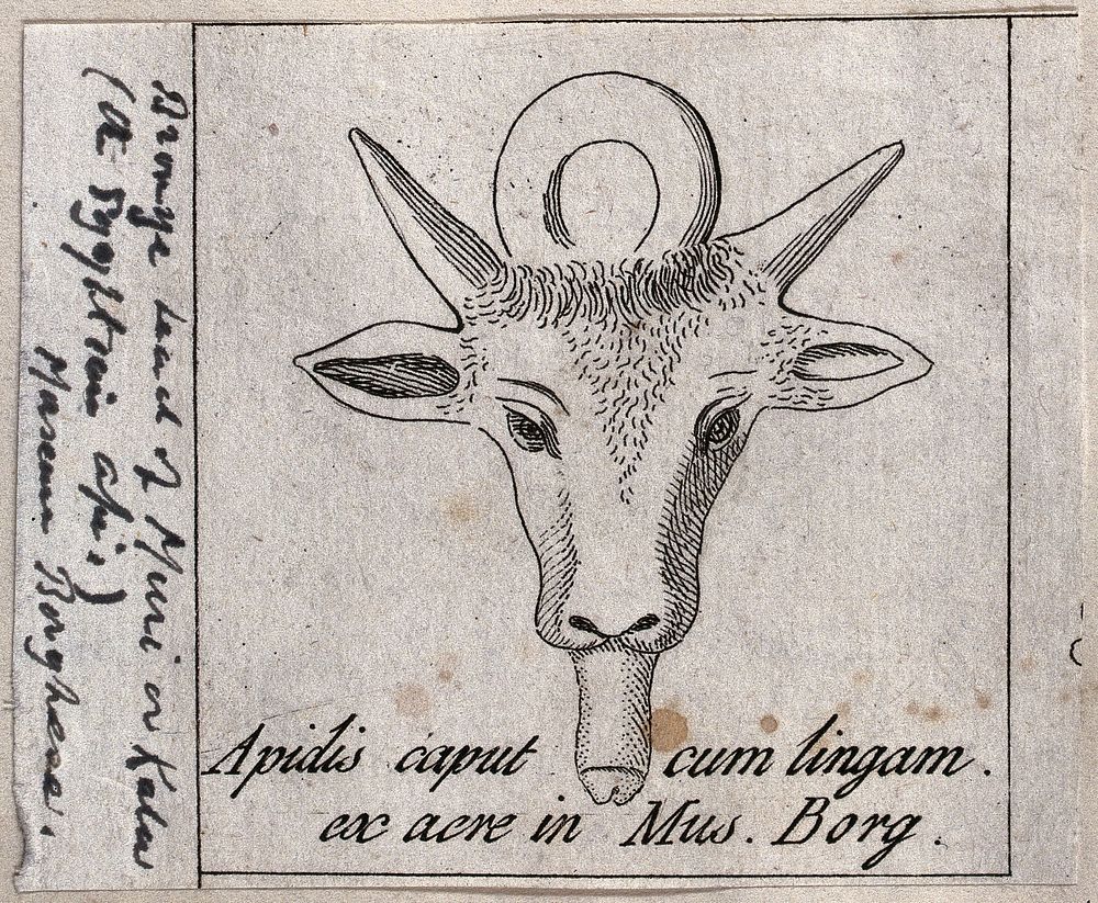 The bronze head of a small deer. Engraving.
