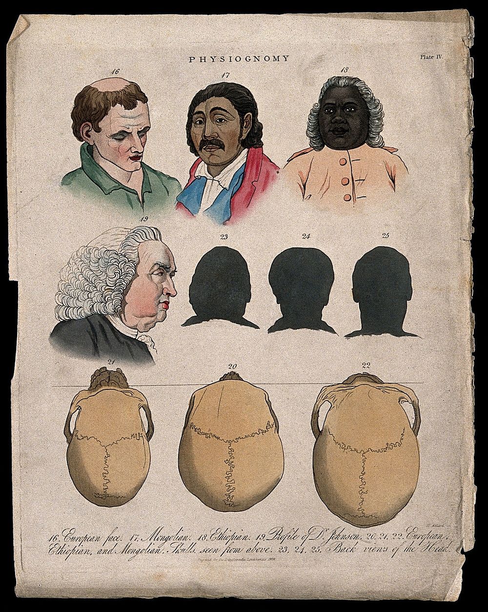 Four faces: a European, a Mongolian, an Ethiopian, and a profile of Samuel Johnson; three frontal silhouettes; three skulls…
