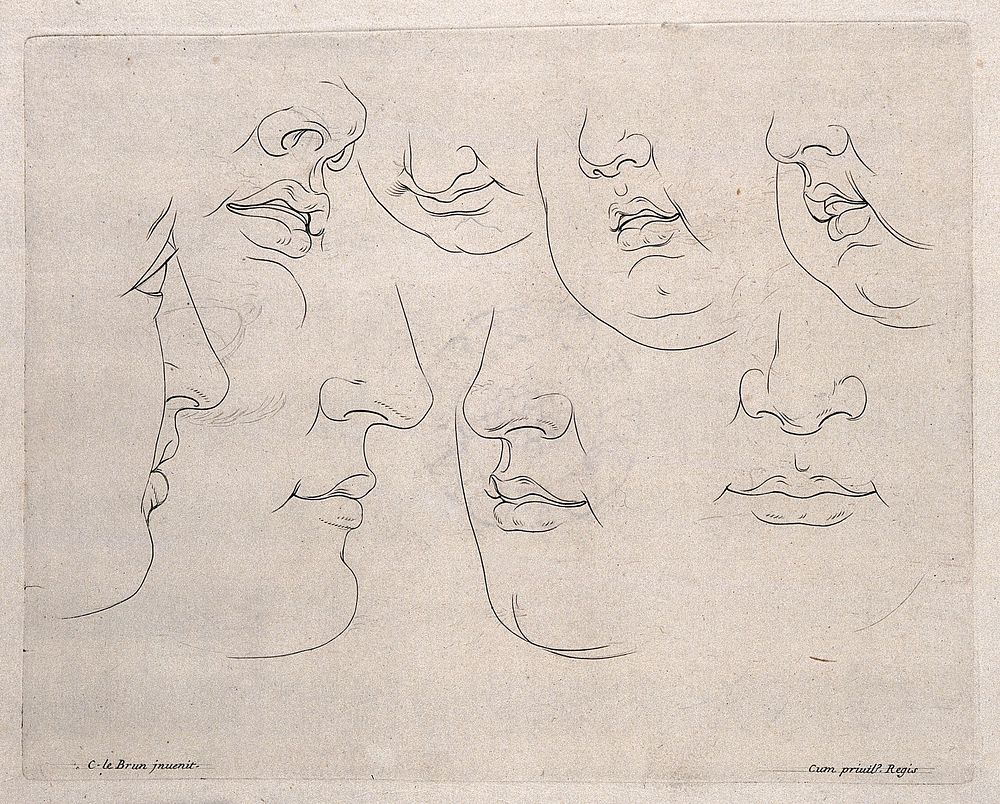 Lower parts of the face: outlines. Engraving after C. Le Brun.