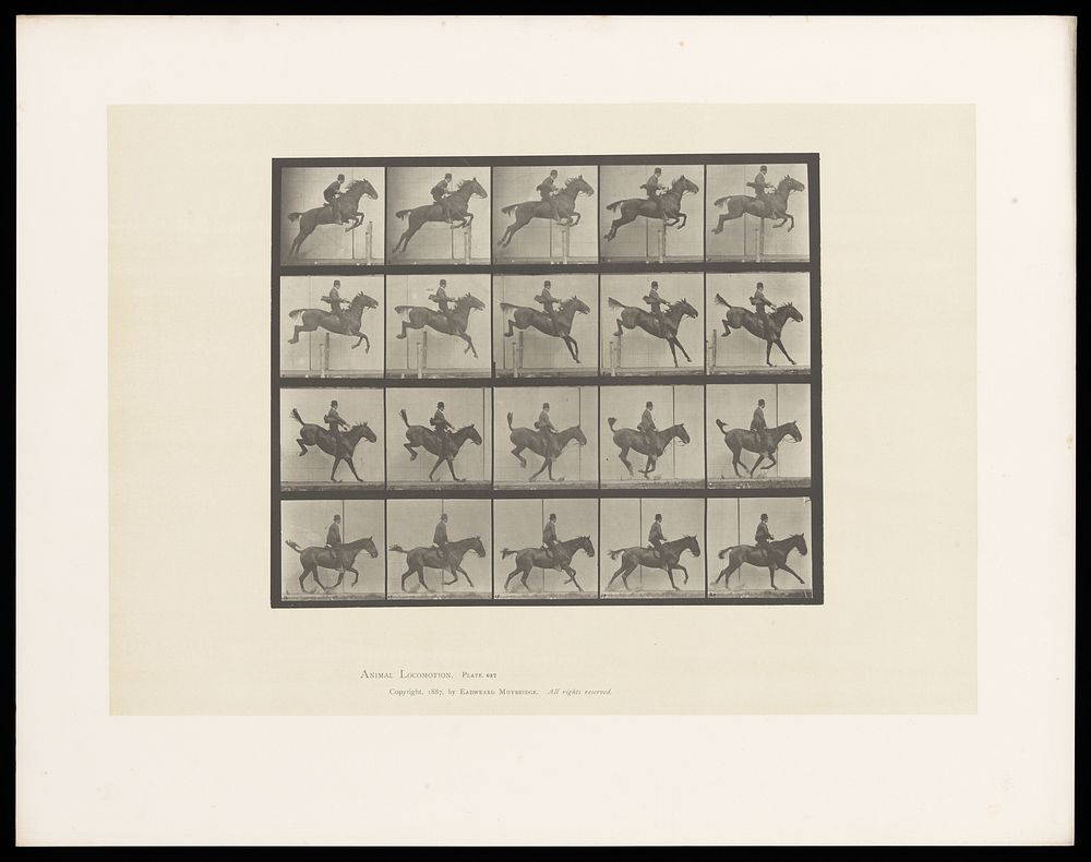 A clothed man riding a saddled horse jumps a hurdle then rides away. Collotype after Eadweard Muybridge, 1887.
