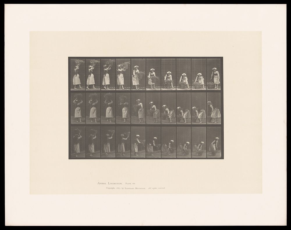 A clothed woman carries a basket on her head then places it onto the ground. Collotype after Eadweard Muybridge, 1887.