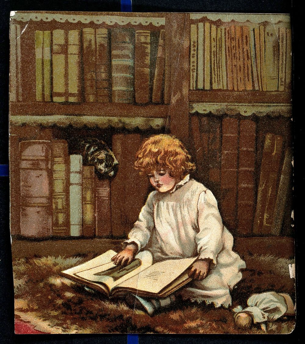 A boy sits on the library floor with a book on his knees and a cat scrambles over the books on the shelf. Chromoithograph.