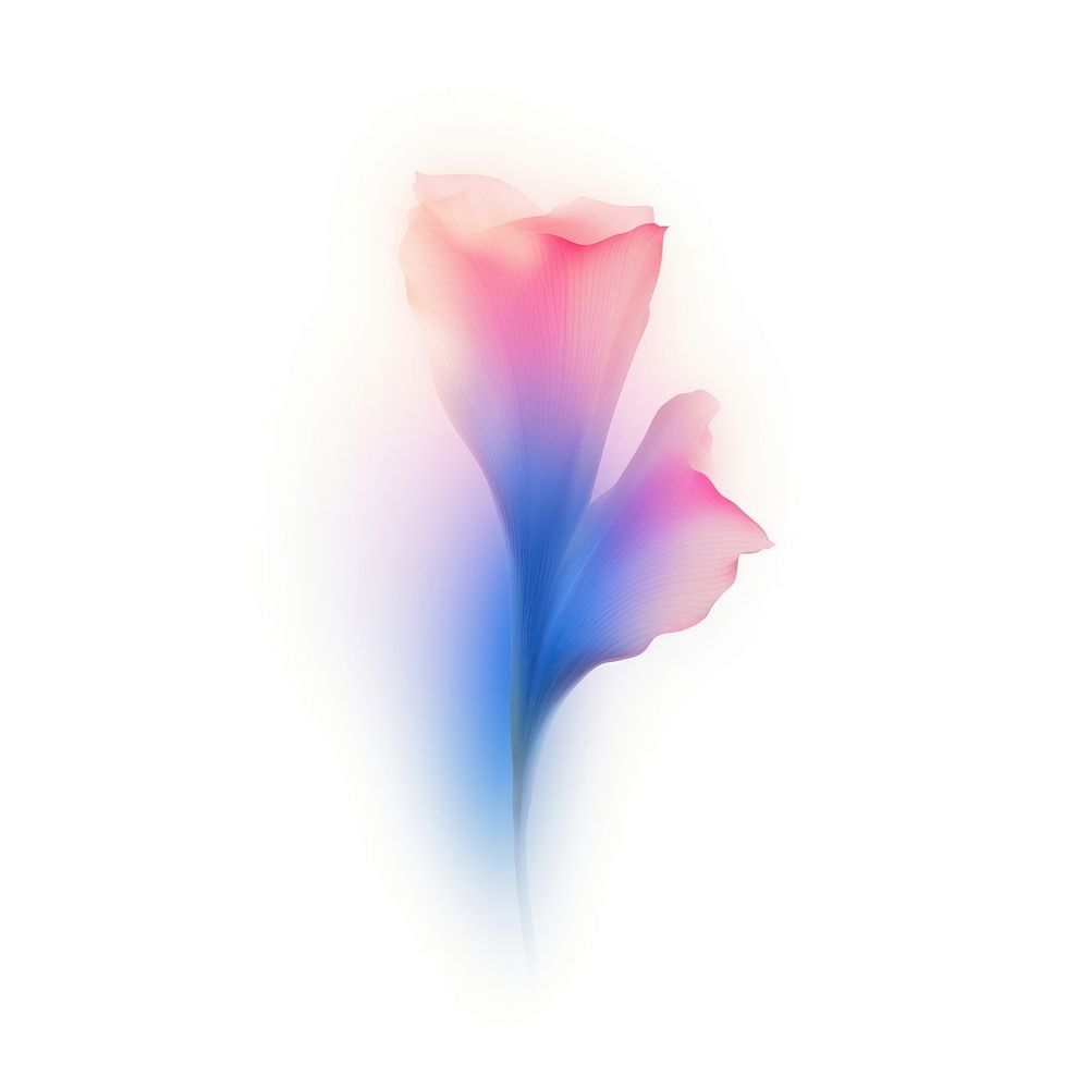 Abstract blurred gradient illustration flower petal plant pink.