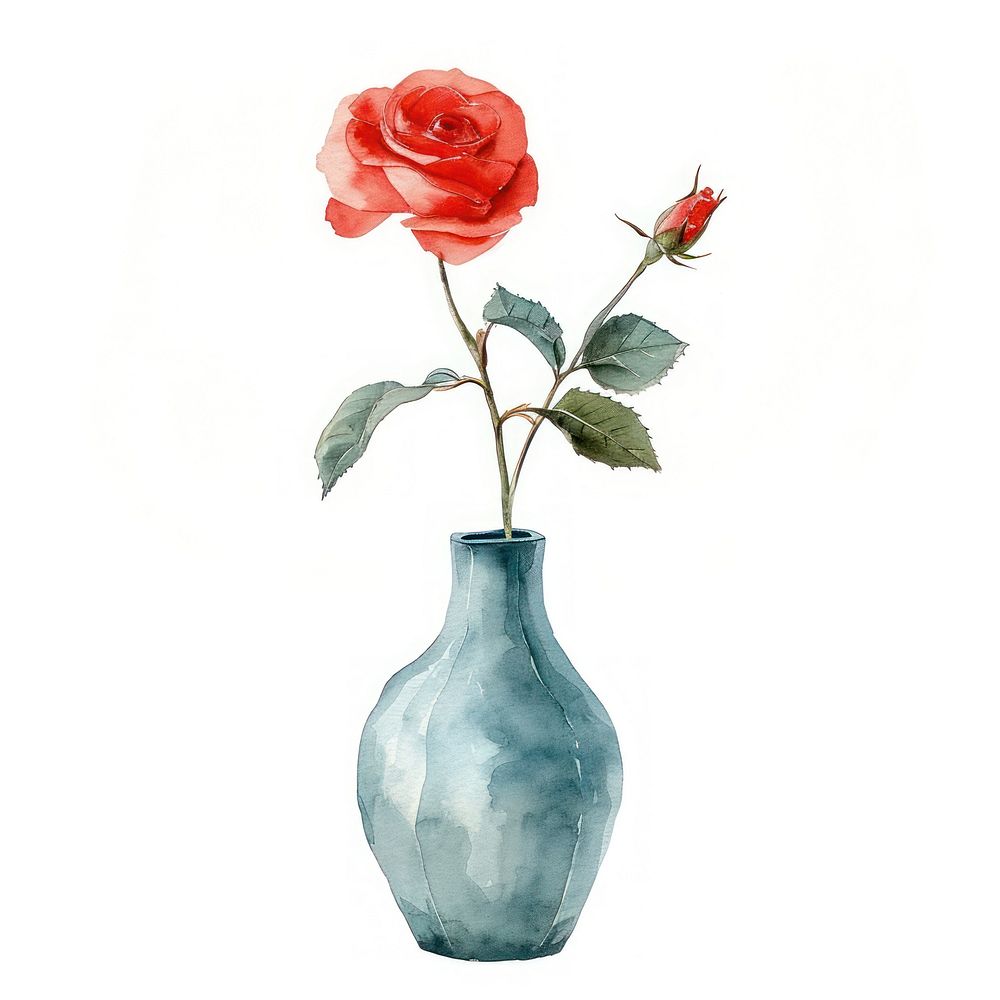 Vase flower watercolor rose craft plant.