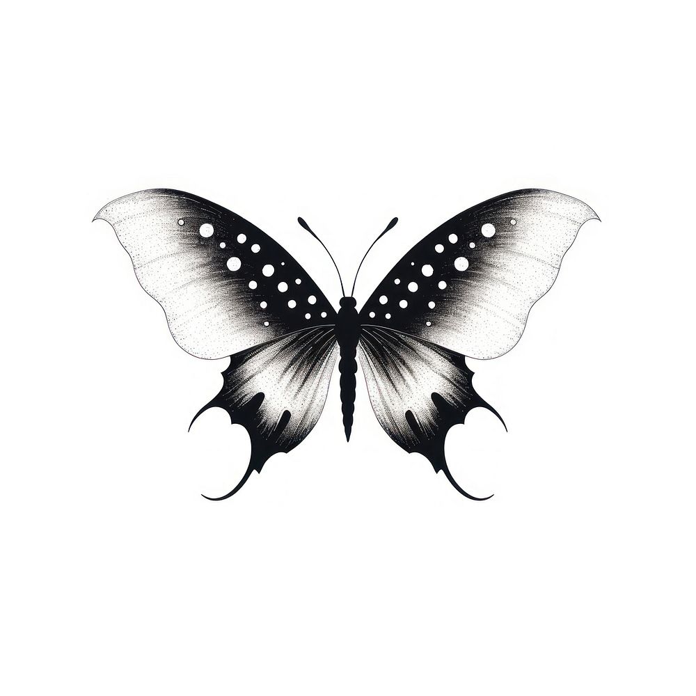 Butterfly celestial drawing animal sketch.