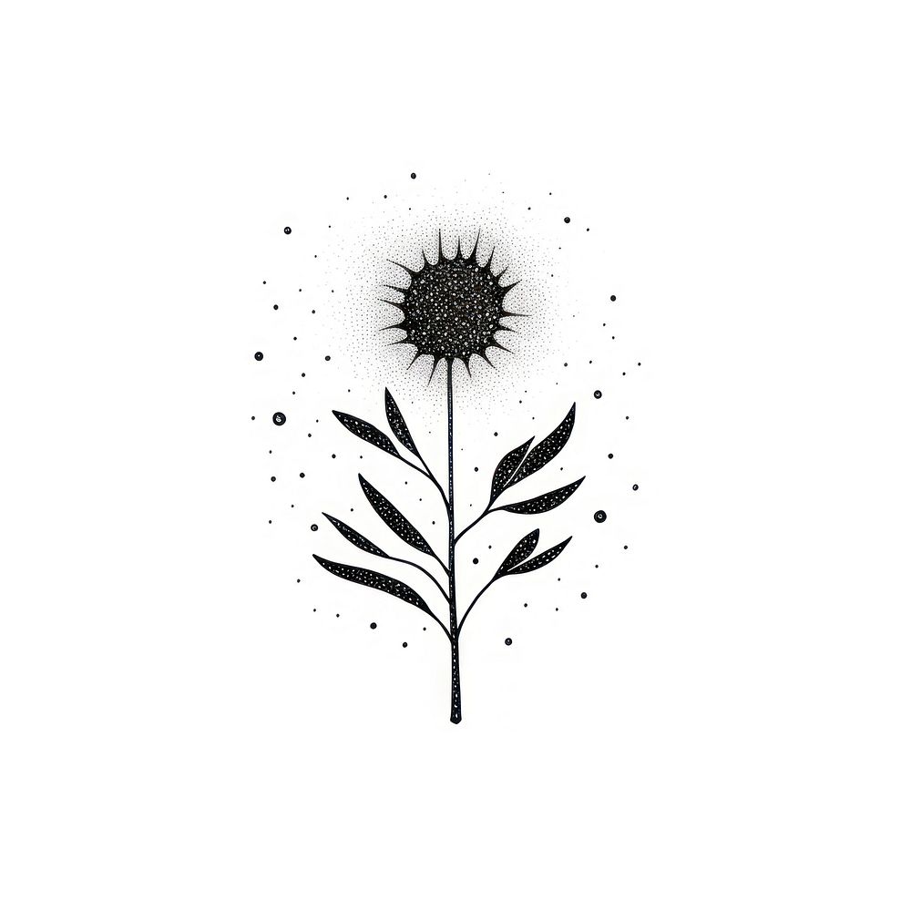 Plant celestial drawing sunflower sketch.