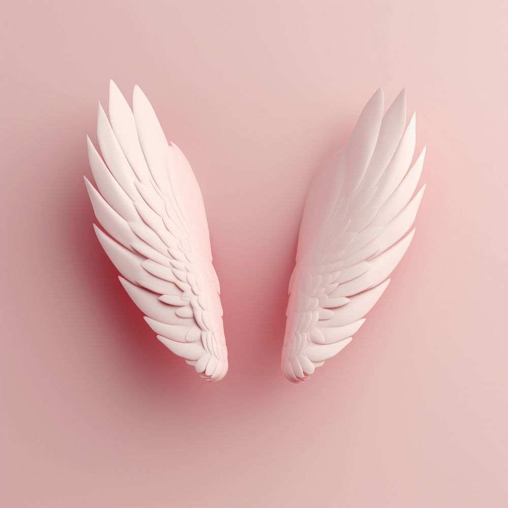A cute cupid wing lightweight archangel softness.