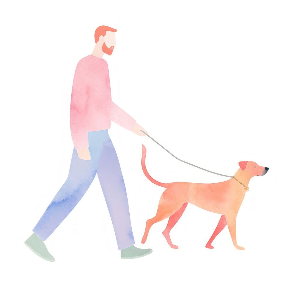 Man walking leash dog mammal.