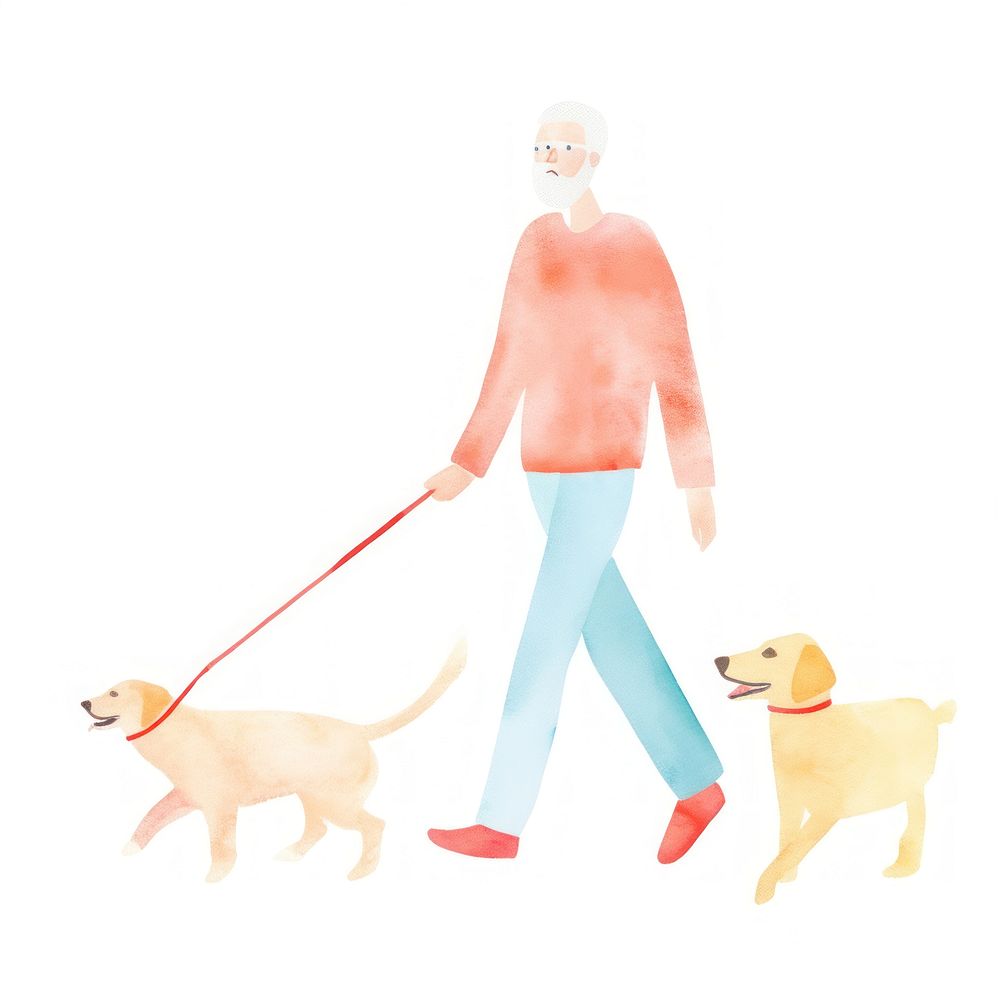 Old man walking leash dog animal.