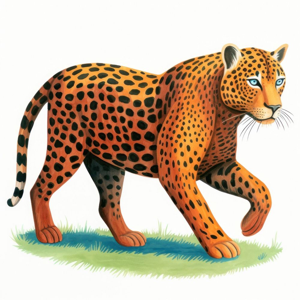 Jaguar walking wildlife leopard cheetah.