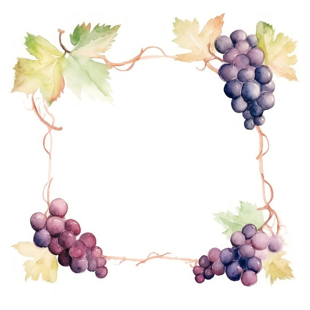 Wine and grape frame watercolor grapes plant food.