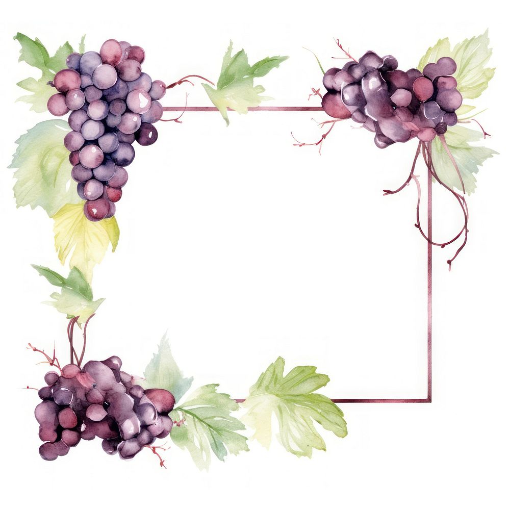 Wine and grape frame watercolor grapes plant food.