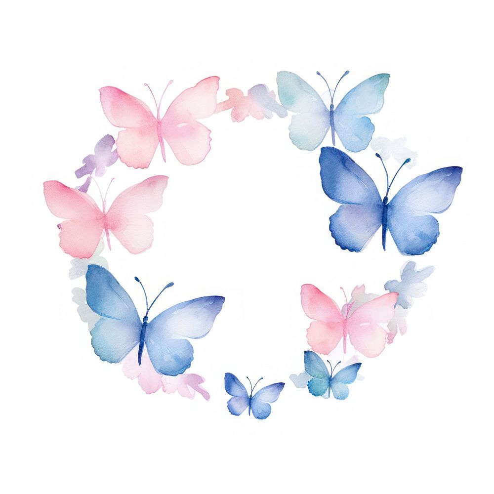 Butterfly frame watercolor pattern petal white background.