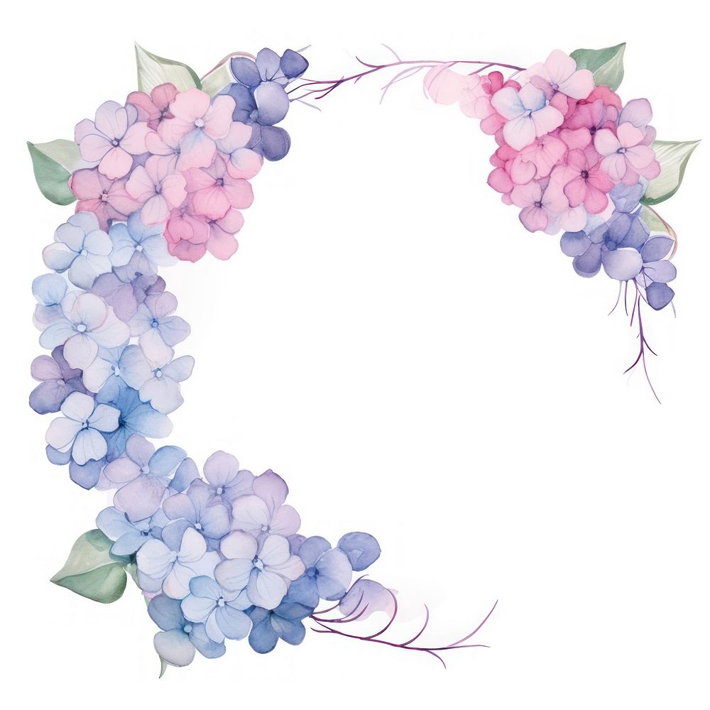 Hydrangea frame watercolor flower wreath grapes.