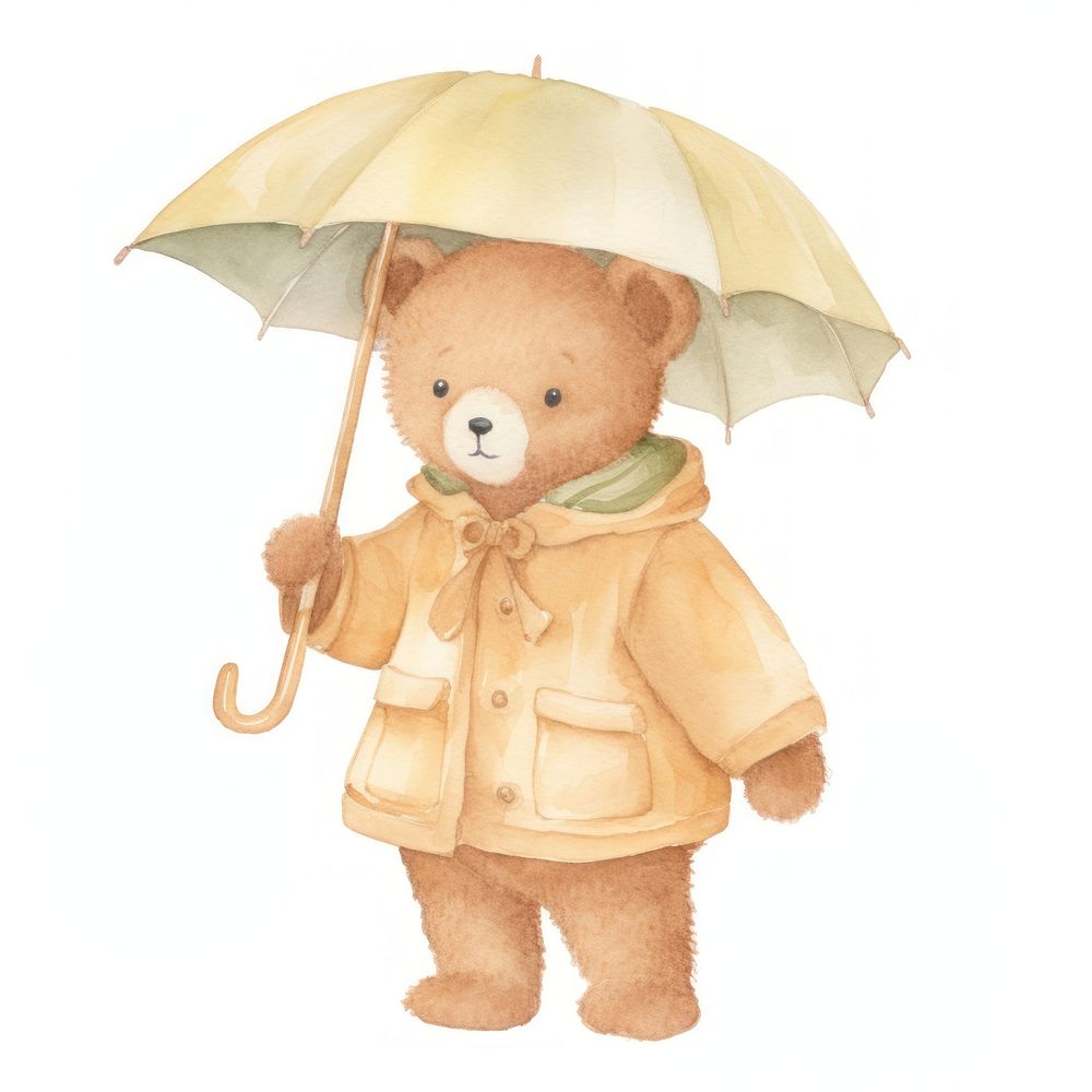 Teddy bear umbrella raincoat toy.