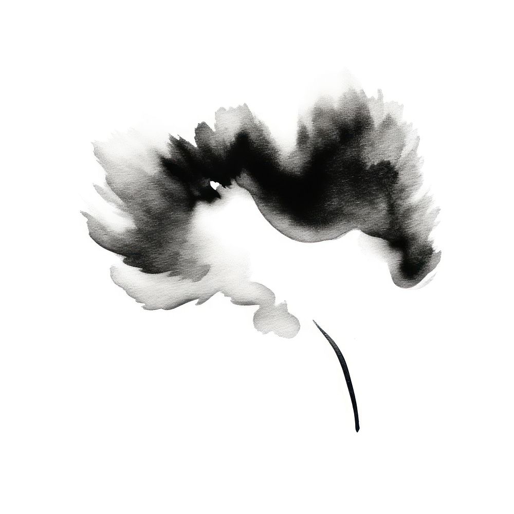 Cloud white ink white background.