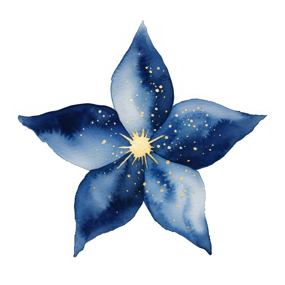 Indigo star shape flower petal plant.