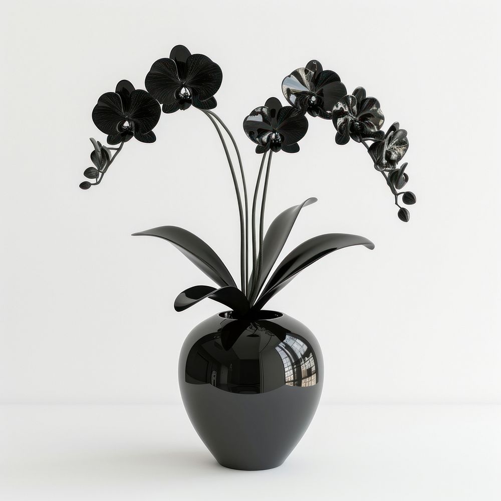Orchid flower plant black.