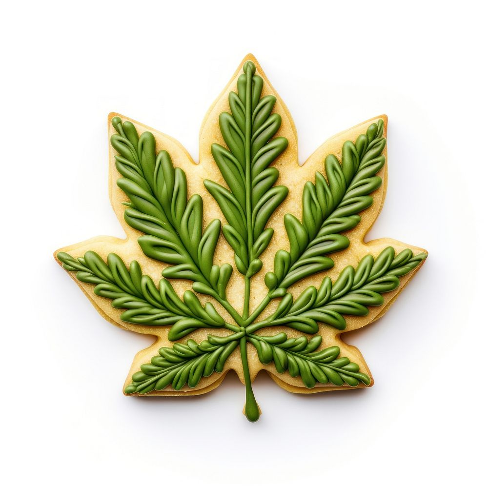 Cannabis leaf cookie art plant herbs food.