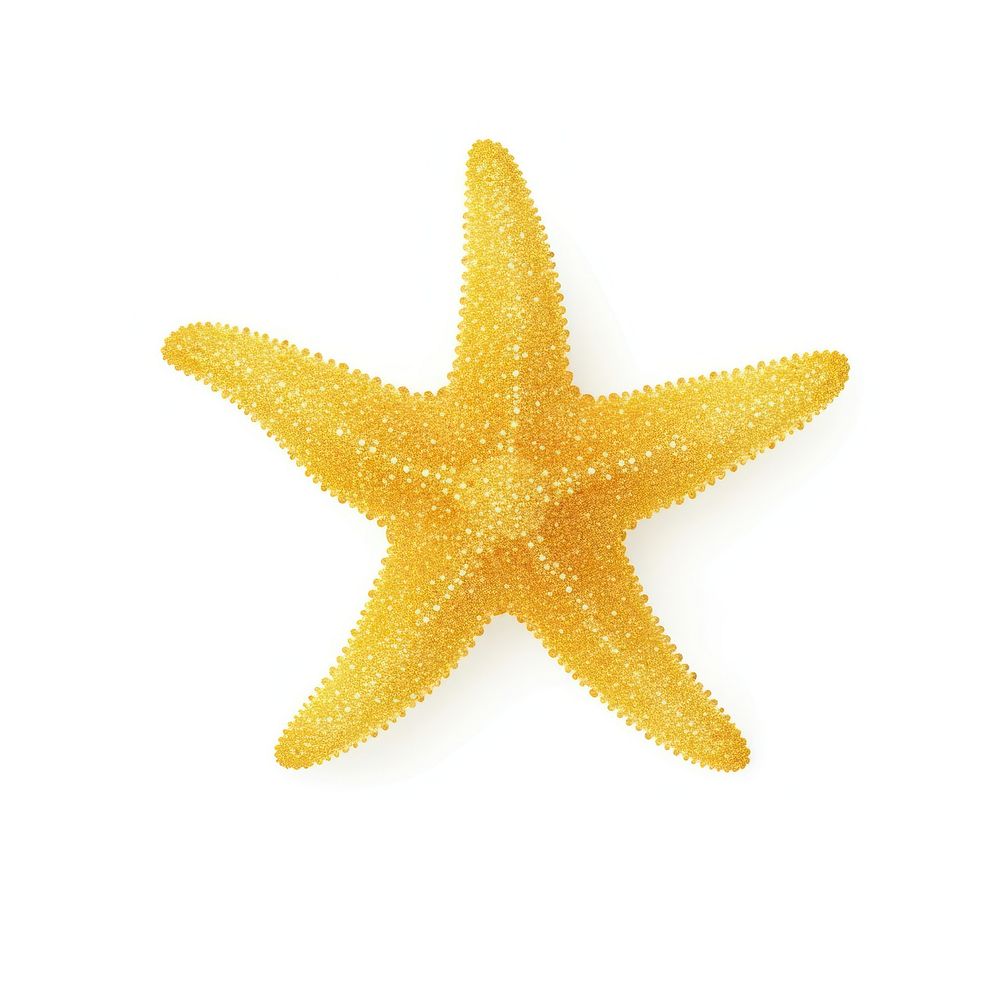 Starfish icon yellow shape white background.